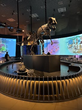 国立科学博物館に投稿された画像（2025/1/8）