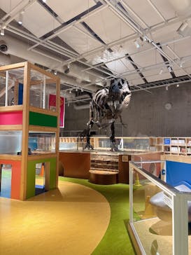 国立科学博物館に投稿された画像（2025/1/8）