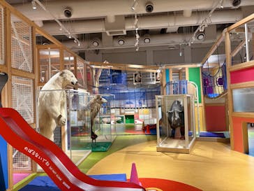 国立科学博物館に投稿された画像（2025/1/8）