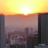 梅田スカイビル・空中庭園展望台に投稿された画像（2025/1/9）