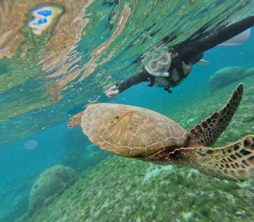 nico 宮古島に投稿された画像（2025/1/8）