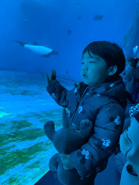 仙台うみの杜水族館に投稿された画像（2025/1/8）