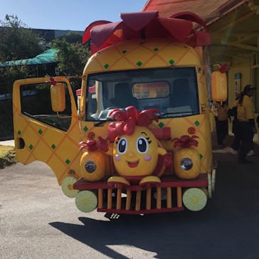 ナゴパイナップルパークに投稿された画像（2025/1/9）