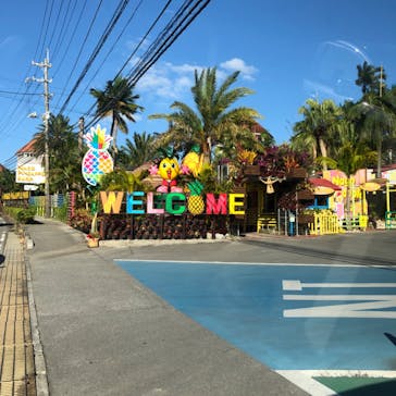 ナゴパイナップルパークに投稿された画像（2025/1/9）