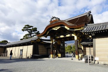 元離宮二条城に投稿された画像（2025/1/9）