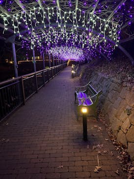 安城産業文化公園デンパークに投稿された画像（2025/1/9）