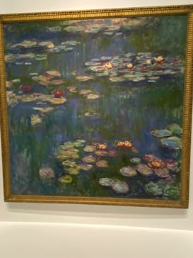 モネ 睡蓮のとき（国立西洋美術館）に投稿された画像（2025/1/9）
