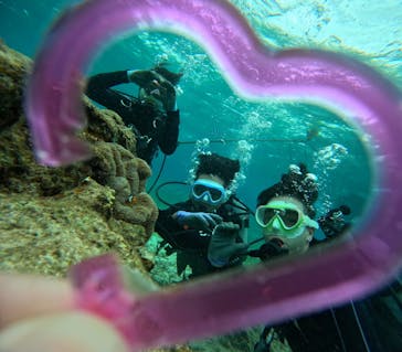 青の洞窟専門店　沖縄ダイビングショップ和に投稿された画像（2025/1/9）