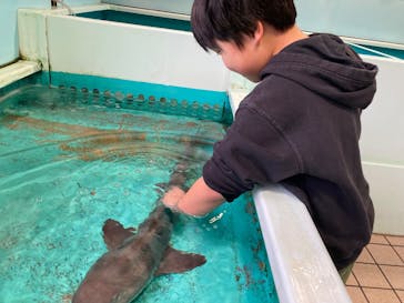 越前松島水族館に投稿された画像（2025/1/9）