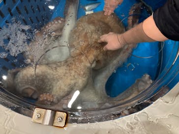 越前松島水族館に投稿された画像（2025/1/9）