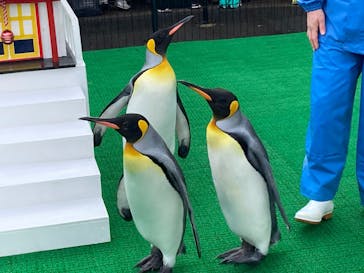 越前松島水族館に投稿された画像（2025/1/9）