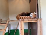 東武動物公園に投稿された画像（2025/1/9）