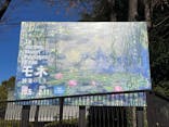 モネ 睡蓮のとき（国立西洋美術館）に投稿された画像（2025/1/9）