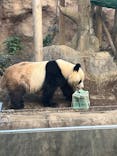 恩賜上野動物園に投稿された画像（2025/1/9）
