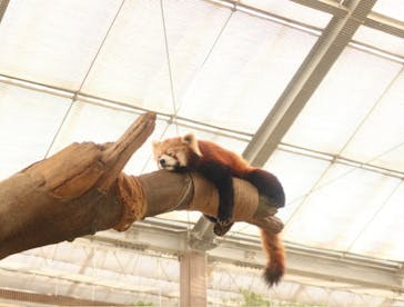 神戸どうぶつ王国に投稿された画像（2025/1/9）