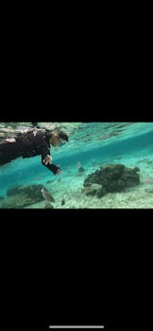 武藤潜水に投稿された画像（2025/1/9）