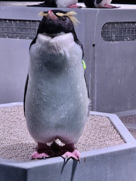 AOAO SAPPOROに投稿された画像（2025/1/9）