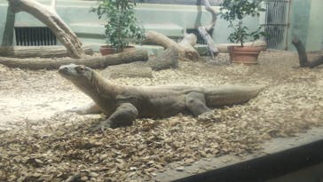 名古屋市東山動植物園に投稿された画像（2025/1/9）