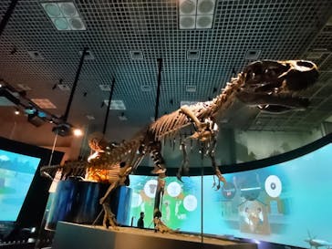 国立科学博物館に投稿された画像（2025/1/9）