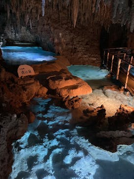 おきなわワールドに投稿された画像（2025/1/9）