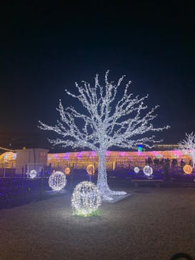 東京メガイルミに投稿された画像（2025/1/9）