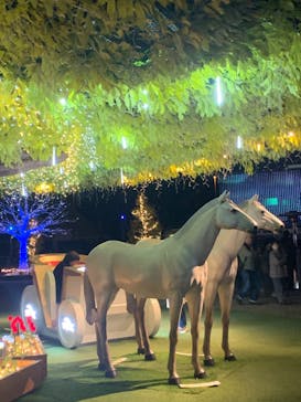 東京メガイルミに投稿された画像（2025/1/9）