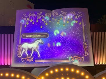 東京メガイルミに投稿された画像（2025/1/9）