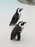 仙台うみの杜水族館に投稿された画像（2025/1/9）
