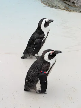 仙台うみの杜水族館に投稿された画像（2025/1/9）