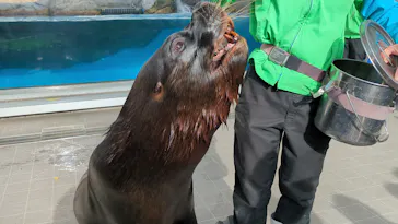 仙台うみの杜水族館に投稿された画像（2025/1/9）