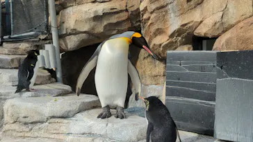 仙台うみの杜水族館に投稿された画像（2025/1/9）