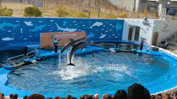 仙台うみの杜水族館に投稿された画像（2025/1/9）