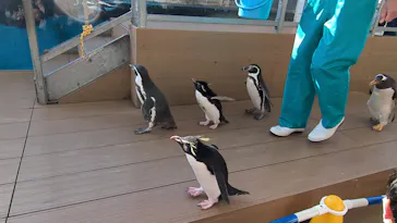 仙台うみの杜水族館に投稿された画像（2025/1/9）