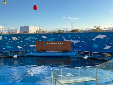 仙台うみの杜水族館に投稿された画像（2025/1/9）