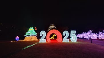 大阪城イルミナージュに投稿された画像（2025/1/9）