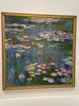 モネ 睡蓮のとき（国立西洋美術館）に投稿された画像（2025/1/9）