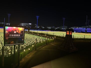 東京メガイルミに投稿された画像（2025/1/9）