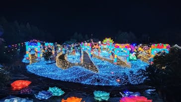 伊豆高原グランイルミに投稿された画像（2025/1/9）