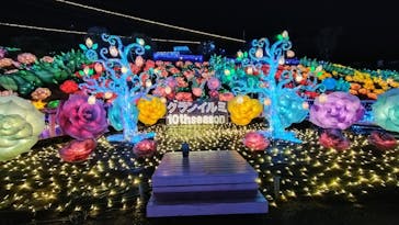 伊豆高原グランイルミに投稿された画像（2025/1/9）