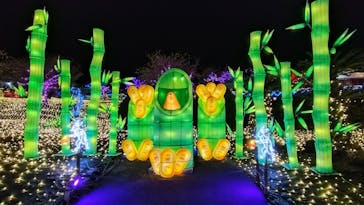 伊豆高原グランイルミに投稿された画像（2025/1/9）