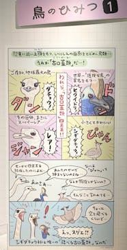 特別展「鳥 ～ゲノム解析が解き明かす新しい鳥類の系統～」国立科学博物館に投稿された画像（2025/1/9）