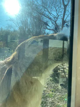多摩動物公園に投稿された画像（2025/1/9）