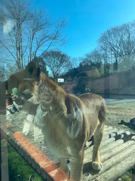 多摩動物公園に投稿された画像（2025/1/9）