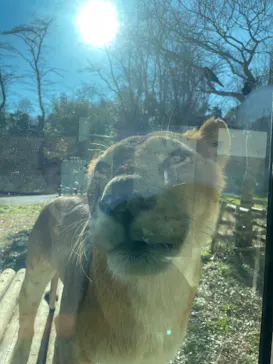 多摩動物公園に投稿された画像（2025/1/9）