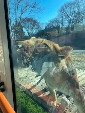 多摩動物公園に投稿された画像（2025/1/9）