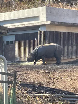 多摩動物公園に投稿された画像（2025/1/9）