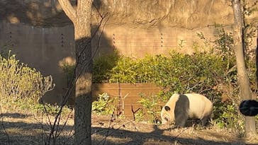 恩賜上野動物園に投稿された画像（2025/1/10）