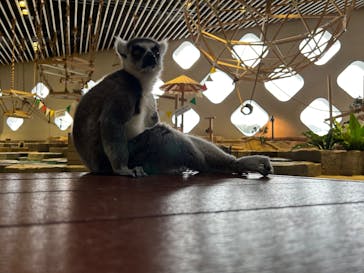 NIFREL（ニフレル）に投稿された画像（2025/1/10）