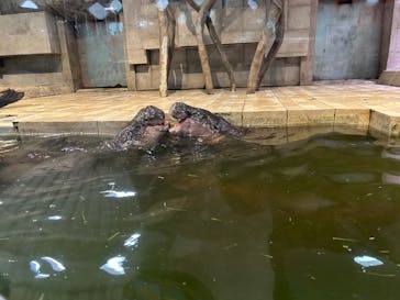 NIFREL（ニフレル）に投稿された画像（2025/1/10）