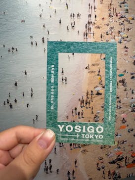 YOSIGO 写真展 Holiday Memories - 旅の瞬間 -に投稿された画像（2025/1/10）